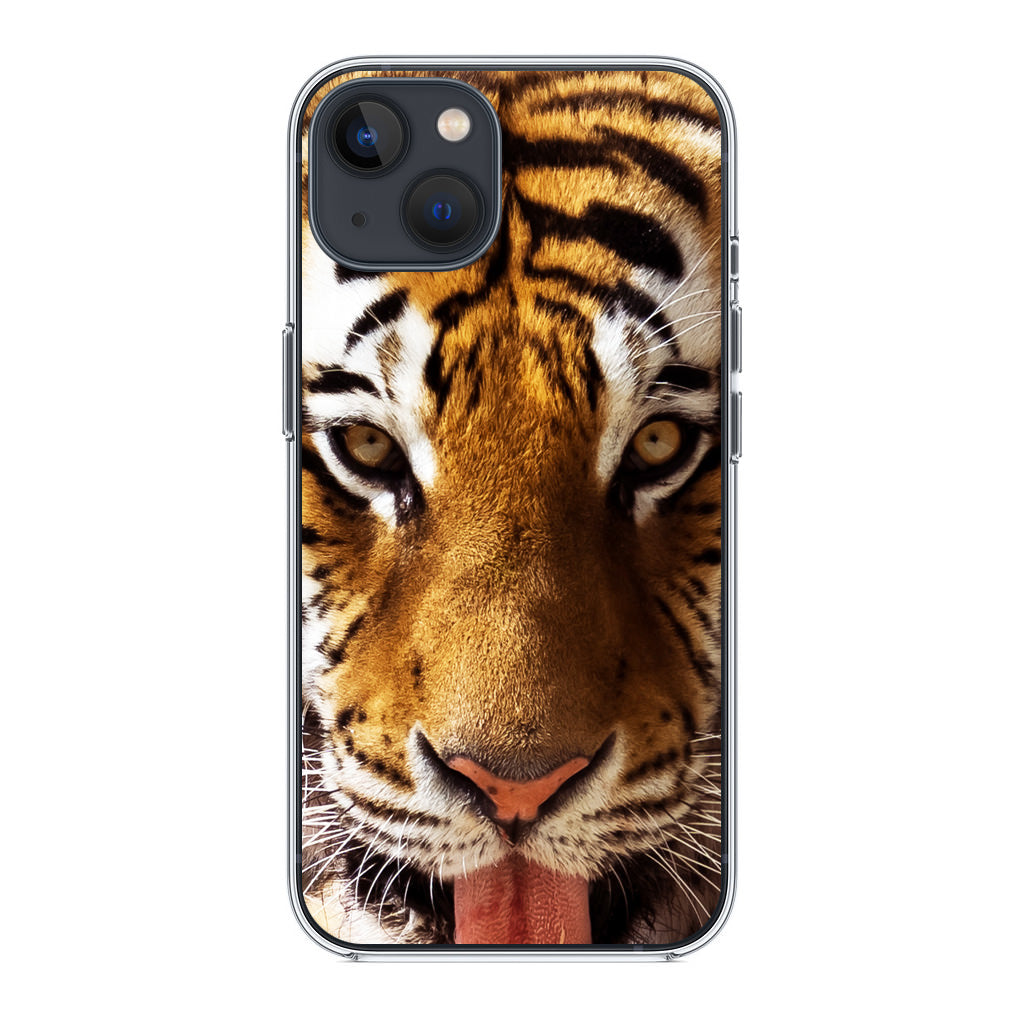 Tiger Eye iPhone 13 / 13 mini Case