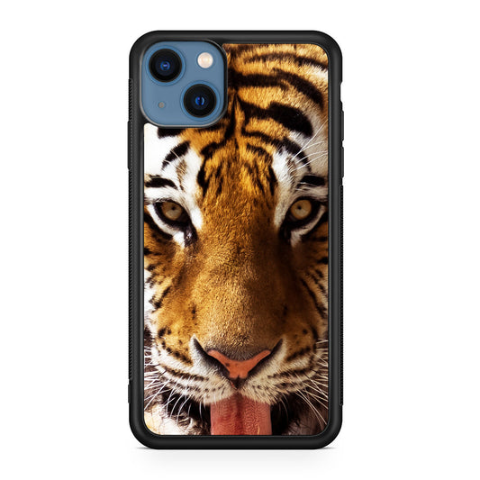 Tiger Eye iPhone 13 / 13 mini Case