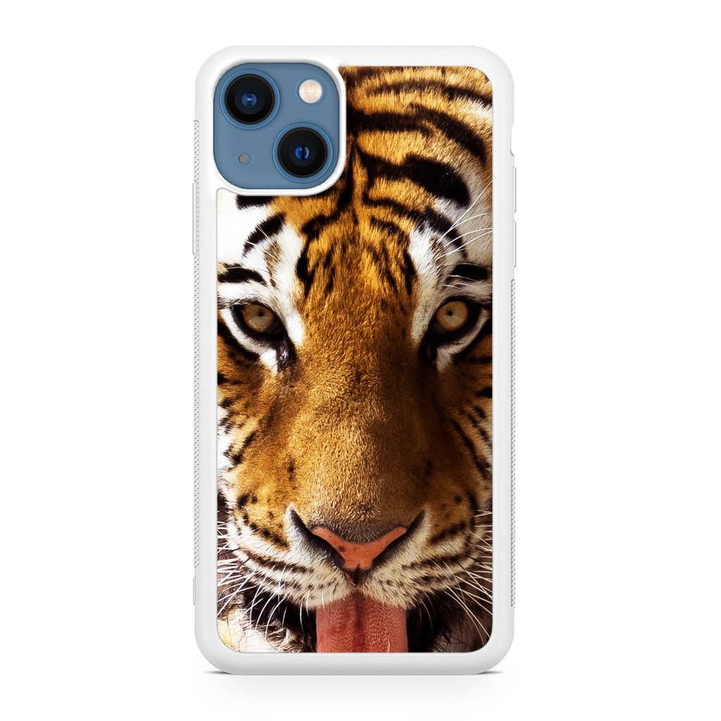 Tiger Eye iPhone 13 / 13 mini Case